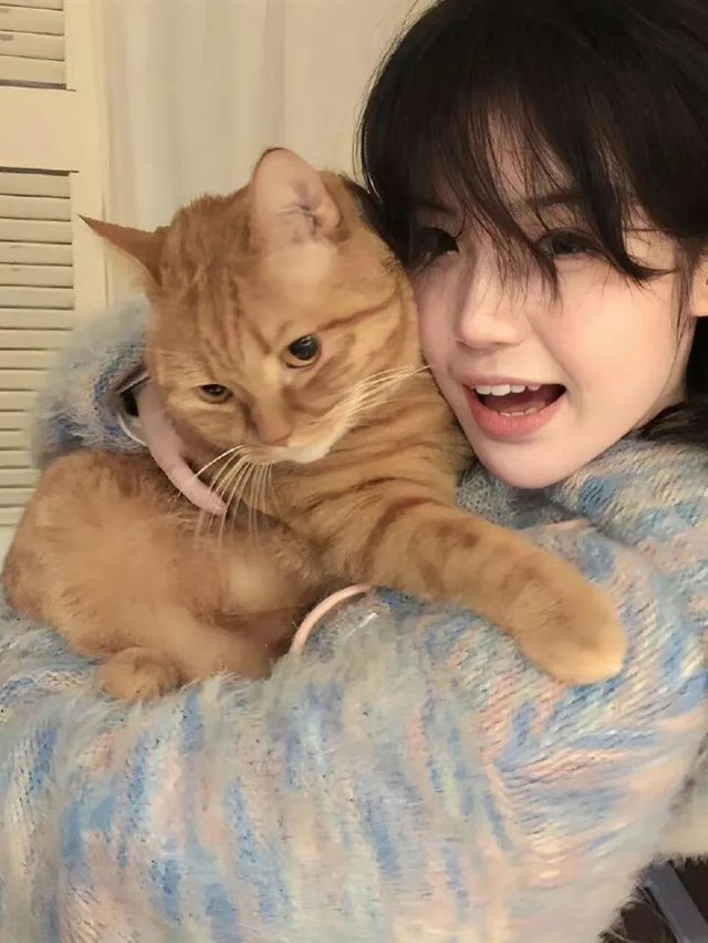 短剧《黑帮大佬的强制爱》封面海报